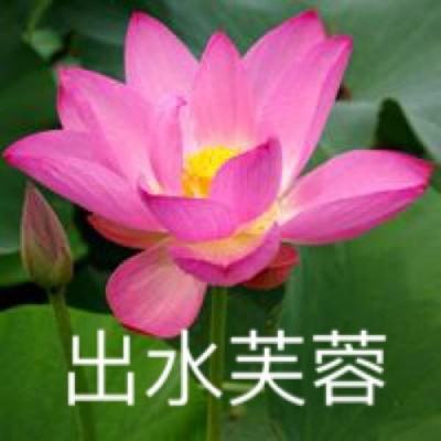 问界：关注到部分用户提出车辆软硬件升级的诉求，正在积极寻找解决方案